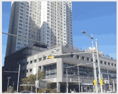  2025Ÿ��159  ���ǽ��ڰ��