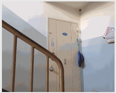  2025Ÿ��262  ����Ʈ���