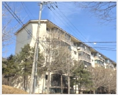  2025Ÿ��262  ����Ʈ���