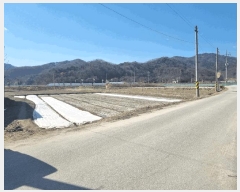  2025Ÿ��268 ��� ��õ�� ������ ���¿��� 87-1      ����(��)���