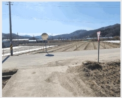  2025Ÿ��268 ��� ��õ�� ������ ���¿��� 87-1      ����(��)���