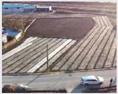  2025Ÿ��268 ��� ��õ�� ������ ���¿��� 87-1      ����(��)���