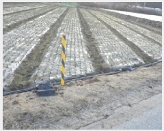  2025Ÿ��268 ��� ��õ�� ������ ���¿��� 87-1      ����(��)���