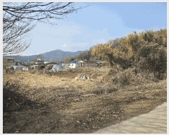  2025Ÿ��274 ��� ���̽� ������ ���Ѹ� 447      ����(��1)���