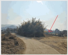  2025Ÿ��274 ��� ���̽� ������ ���Ѹ� 447      ����(��1)���