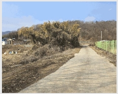  2025Ÿ��274 ��� ���̽� ������ ���Ѹ� 447      ����(��1)���