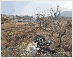  2025Ÿ��274 ��� ���̽� ������ ���Ѹ� 447      ����(��1)���