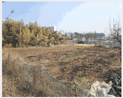  2025Ÿ��274 ��� ���̽� ������ ���Ѹ� 447      ����(��1)���