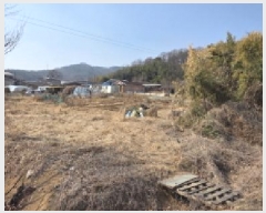  2025Ÿ��274 ��� ���̽� ������ ���Ѹ� 447      ����(��1)���