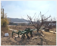  2025Ÿ��274 ��� ���̽� ������ ���Ѹ� 447      ����(��1)���