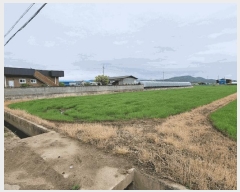  2025Ÿ��329  ����