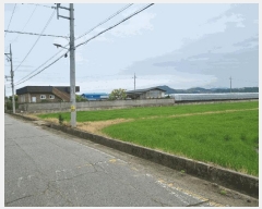  2025Ÿ��329  ����