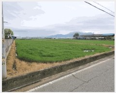  2025Ÿ��329  ����