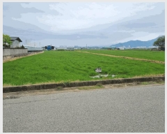  2025Ÿ��329  ����