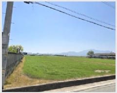  2025Ÿ��329  ����