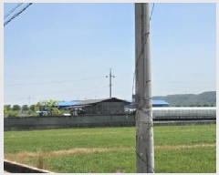  2025Ÿ��329  ����