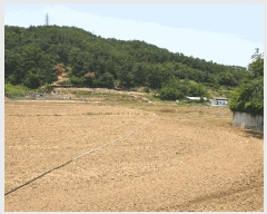  2025Ÿ��344  ����