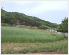  2025Ÿ��344  ����