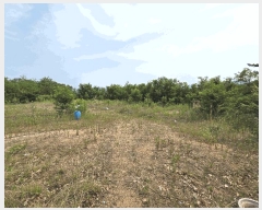  2025Ÿ��364  �����