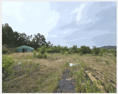  2025Ÿ��364  �����