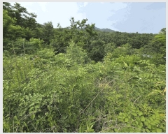  2025Ÿ��364  �����