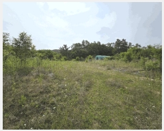  2025Ÿ��364  �����