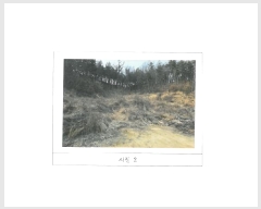  2025Ÿ��10231 ��� ���̽� ���⵿ 701       ����(��1)���