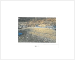  2025Ÿ��10231 ��� ���̽� ���⵿ 701       ����(��1)���