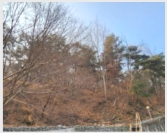  2025Ÿ��10439 ��� ���̽� ���ǵ� ��92       ����(�Ӿ�)���