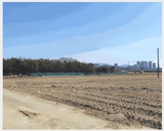  2025Ÿ��10792 ��� ���̽� ���굿 219-2       ����(��)���