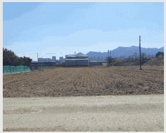  2025Ÿ��10792 ��� ���̽� ���굿 219-2       ����(��)���