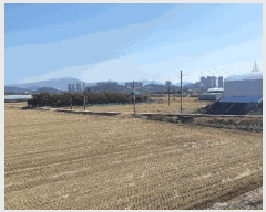  2025Ÿ��10792 ��� ���̽� ���굿 219-2       ����(��)���