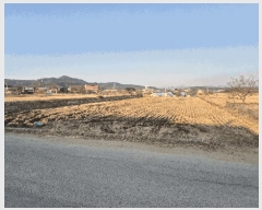  2025Ÿ��10806 ��� ���̽� ������ ������ 365      ����(��)���