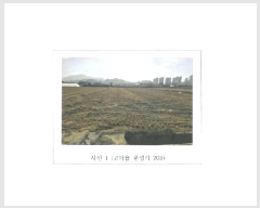  2025Ÿ��10806 ��� ���̽� ������ ������ 365      ����(��)���