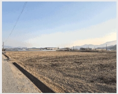  2025Ÿ��10806 ��� ���̽� ������ ������ 365      ����(��)���