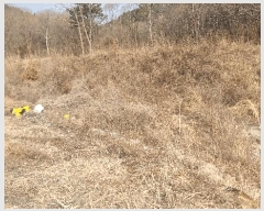  2025Ÿ��10817  �����