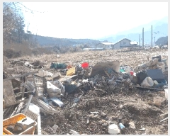  2025Ÿ��10817  �����