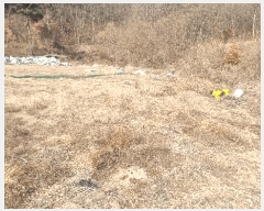  2025Ÿ��10817  �����