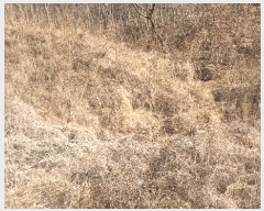  2025Ÿ��10817  �����