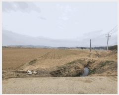  2025Ÿ��10888  ����