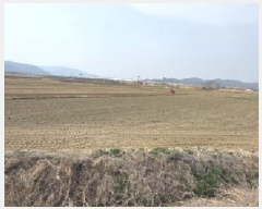  2025Ÿ��10888  ����