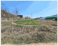  2025Ÿ��10898  ����