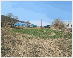  2025Ÿ��10898  ����