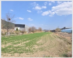  2025Ÿ��10898  ����