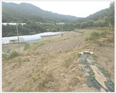  2025Ÿ��10954  ����