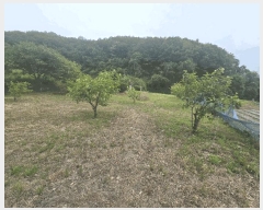  2025Ÿ��10954  ����