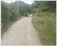  2025Ÿ��10954  ����