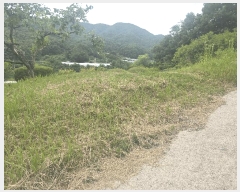  2025Ÿ��10954  ����