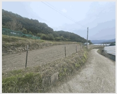  2025Ÿ��10954  ����