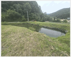  2025Ÿ��10954  ����